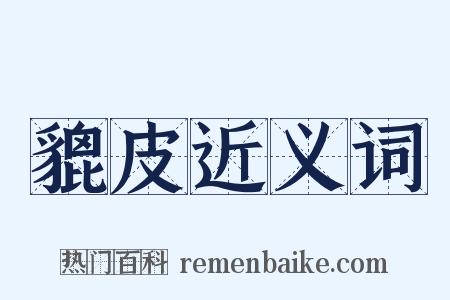 貔皮近义词是什么意思的图片